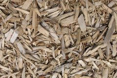 biomass boilers Maes Glas